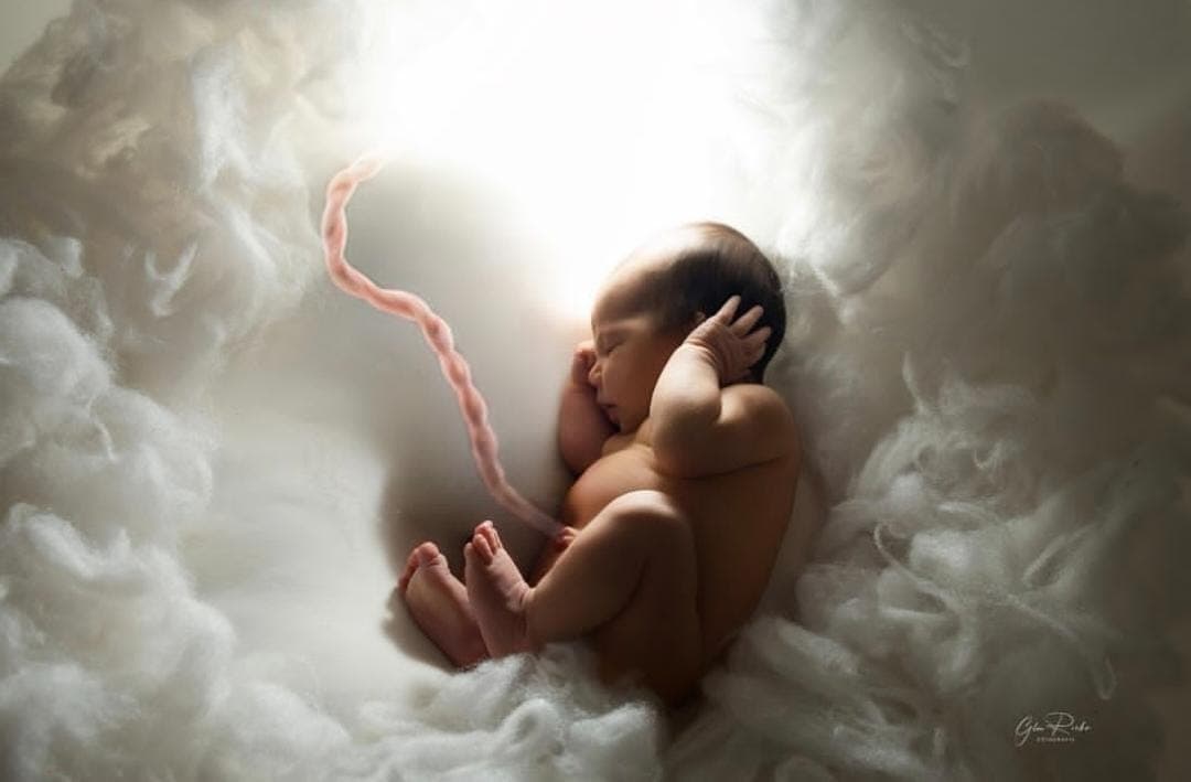 Newborn